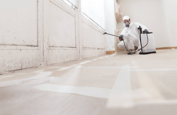 24/7 Emergency Mold Removal experts in Lemoyne, PA